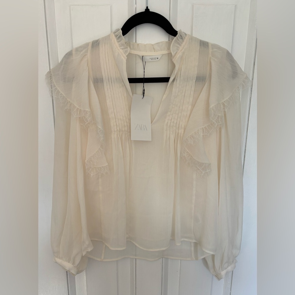 Zara Ruffle Pintuck Sheer Blouse